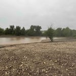 Cattle Pond