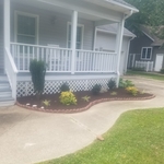 New garden