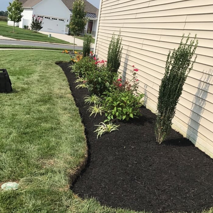New bed with black mulch plants and flowers