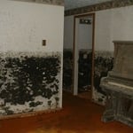 Mold