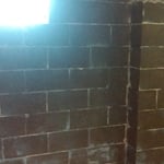 Basement walls and floor.