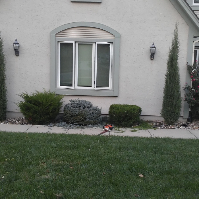 Shrub Trimming