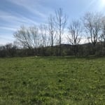 4. Before from a distance