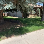 front lawn mow williston