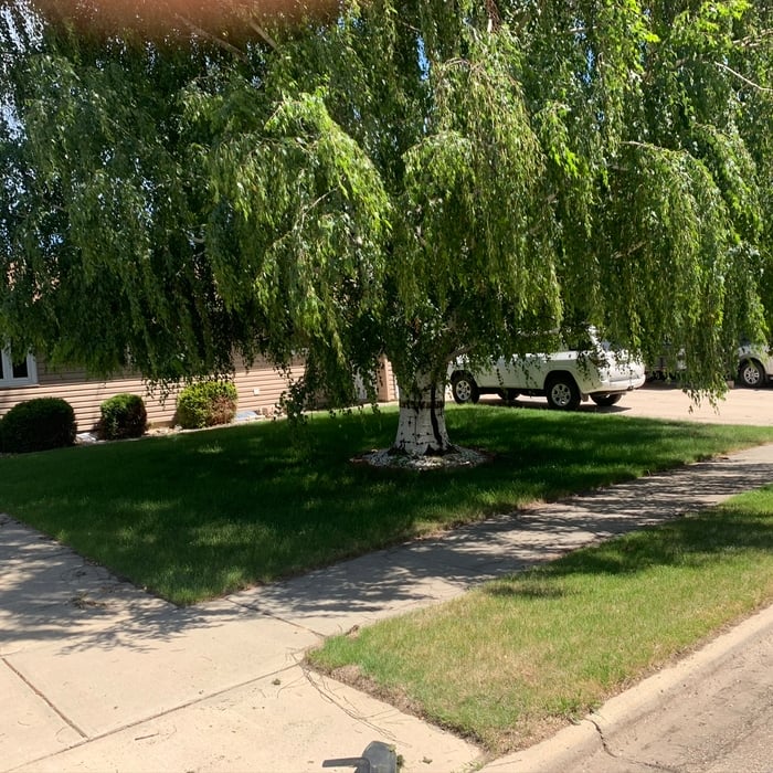front lawn mow williston