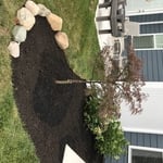 Beside back patio - After