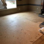 Interior Flooring