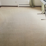 Carpet cleaning