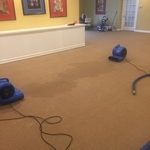 Flood Clean up
