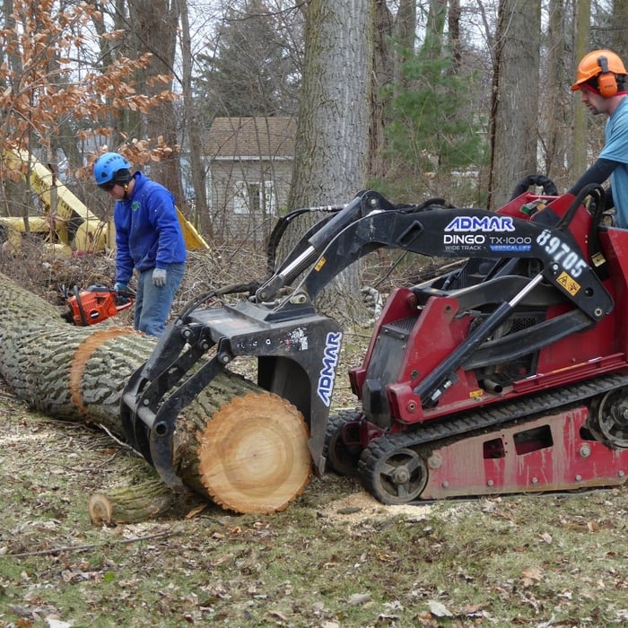 tools we use for removing wood