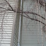 Radon Mitigation