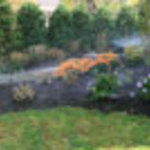 Sprinkler Installations