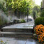 Sprinkler Installations