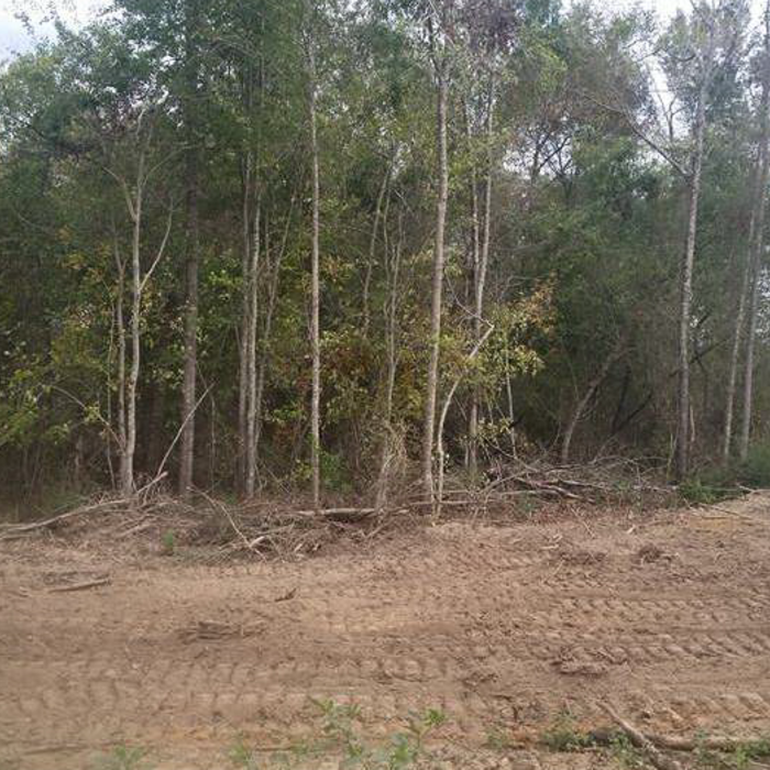 Land Clearing
