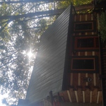 Roof Painting