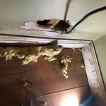 Kitchen damage
