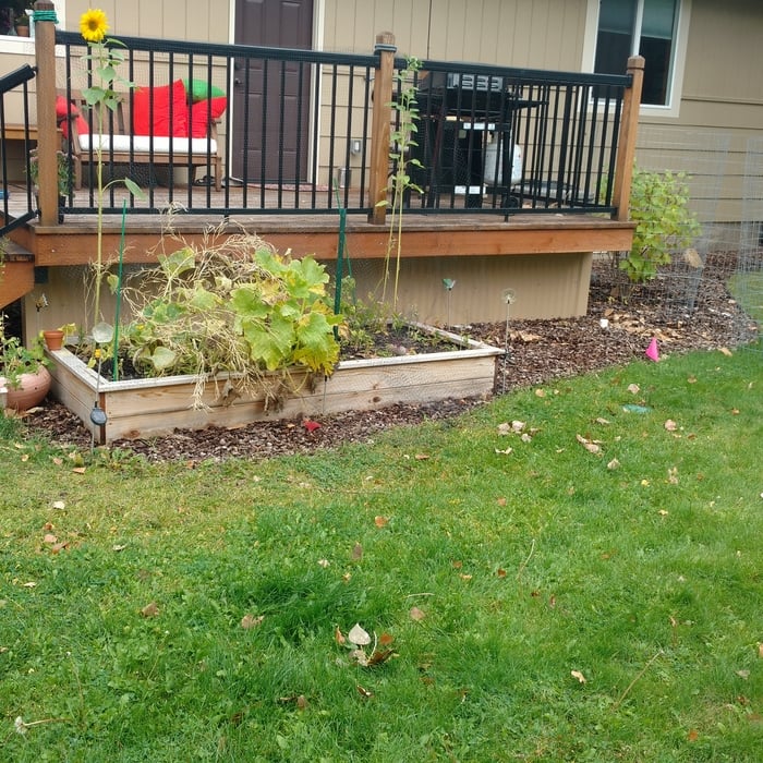 Sewer under deck