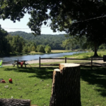 Stump/river view