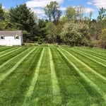 Lawn