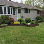 Mulch & Edging