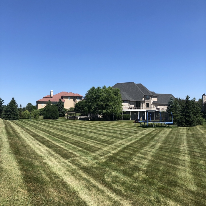 Weekly Property Maintenance