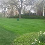 MOWING A WEEKLY PROPERTY