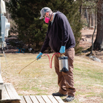 Carpenter Ant Exterior Treatment