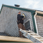Wildlife Rooftop Exclusion Service