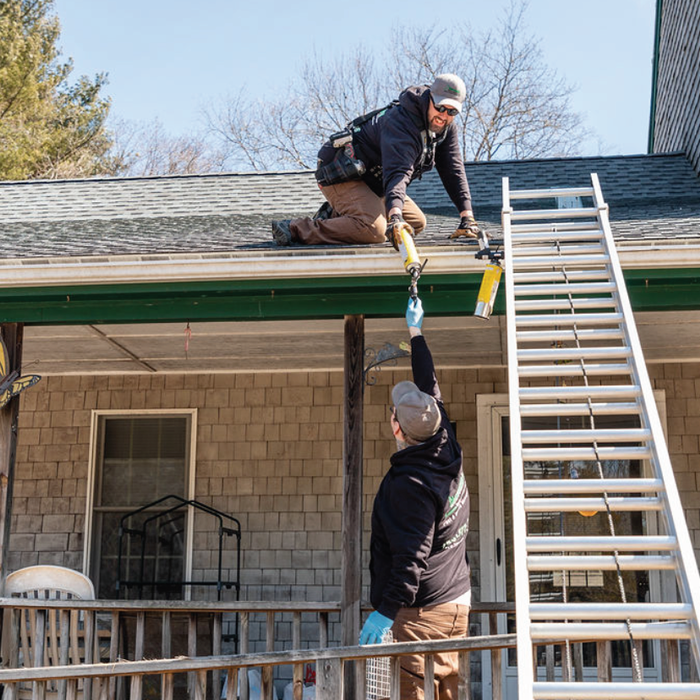 Wildlife Exclusion Service Team