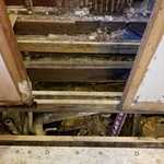 repaired joists and framing
