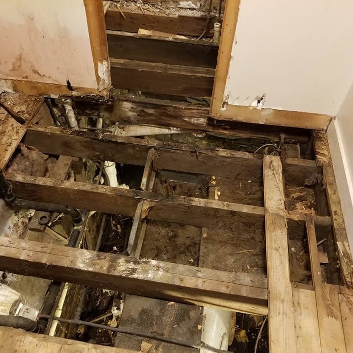 damaged joists and framing