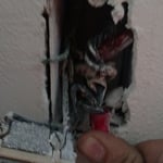Wiring of a building