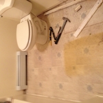 Bathroom Demo #2