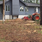 Tree removal