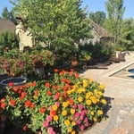 Shelby Twp. Pool Project