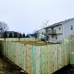 6' Dog Ear PTP