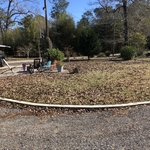 Leaf Cleanup
