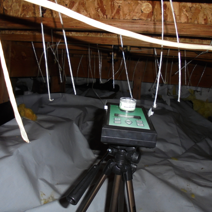 Mold testing