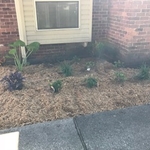 stage3