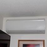 Master bedroom Indoor head