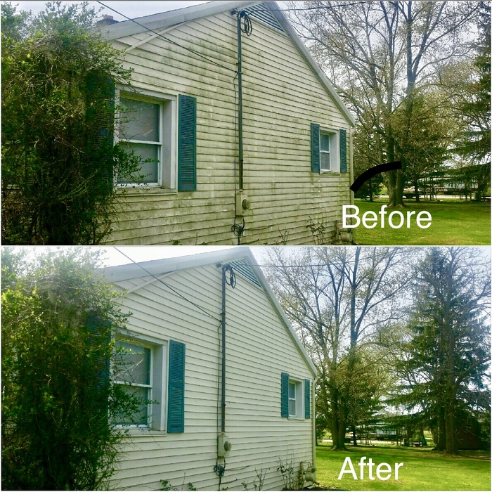 Soft Wash Siding Cleaning