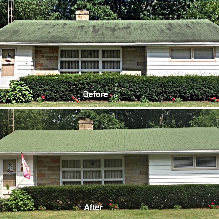 Roof Cleaning