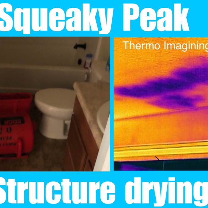 Water Damage/Drying