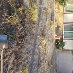 Landscape And Irrigation