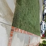 Landscape and irrigation