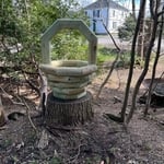 Kennys in the Spring