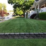 Lawn maintenance