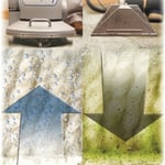 Chem dry vs. Steam cleaning