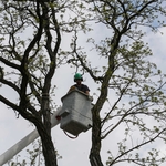 Assessing job in bucket