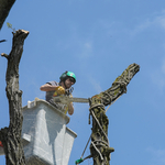 Cutting from bucket